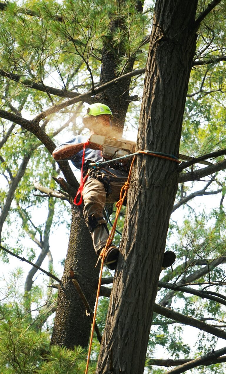 A person wearing gloves and safety glasses trimming a tree branch with a pruning saw in a residential backyard.