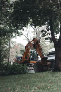 A worker in safety gear examines a tall backyard tree near a sidewalk and residential fence.