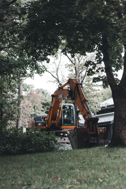 A worker in safety gear examines a tall backyard tree near a sidewalk and residential fence.